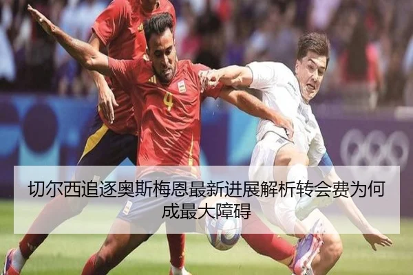 切尔西追逐奥斯梅恩最新进展解析转会费为何成最大障碍